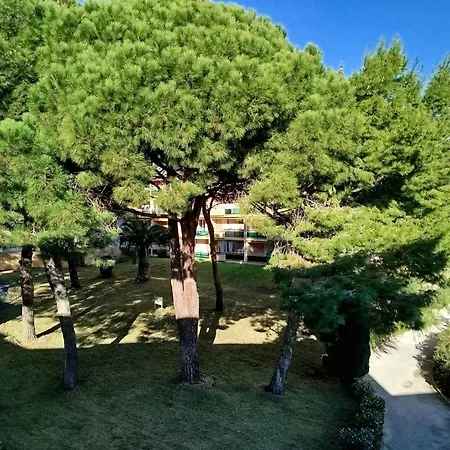 Apartment T2 Climatise Avec Garage, Proche Centre Et Plages - Fr-1-610-113